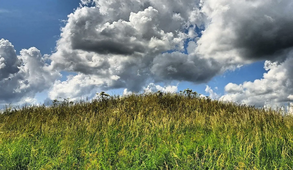 Three Hills Barrows, Woodford