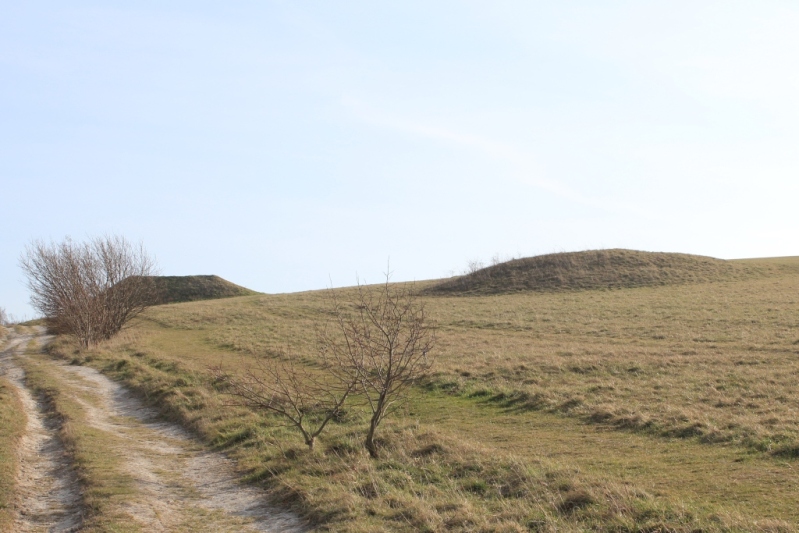 Pen Hill Round Barrow (from the East) with moden Golf Tee to the left (at the head of the Mile Ditches).
