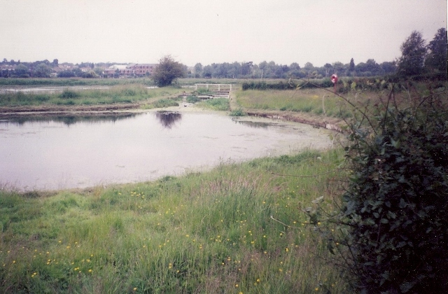 A better view of the springhead of Chadwell 