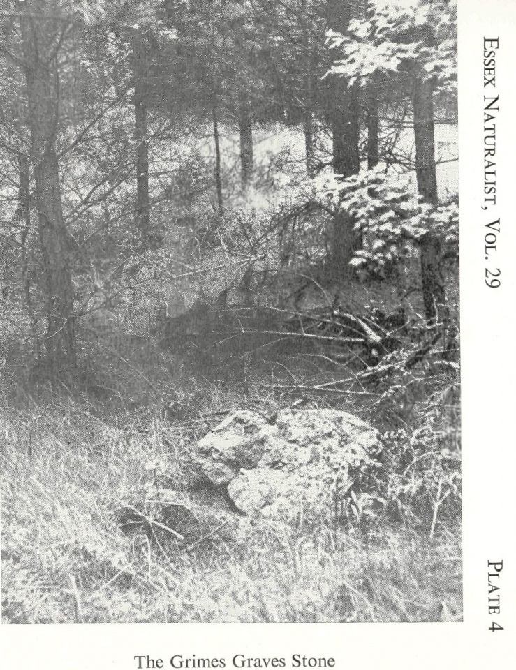 Dr Rudge’ photo of the Grimes puddingstone. This stone is now buried in bracken (or worse).