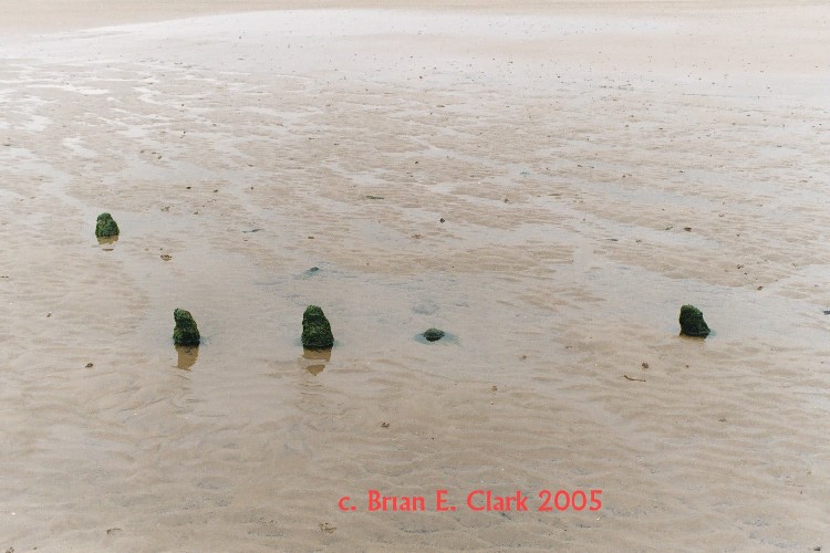 Holme IIa. 

The, now lost, Bronze Age timbers @ Holme Next the Sea 
