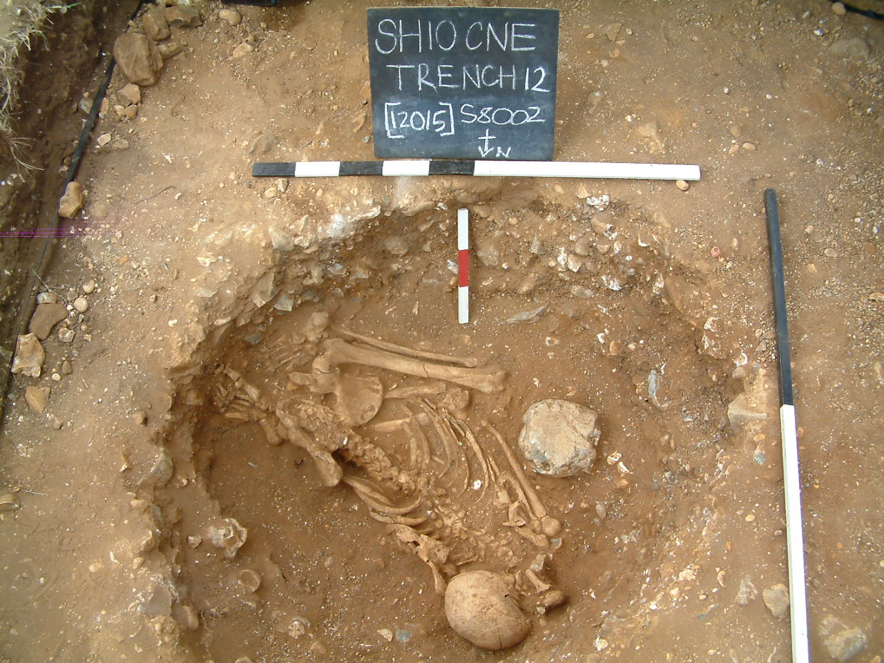 Crouched burial discovered in Chalkpit Field in 2010

With thanks to the SHARP project for the photo 