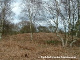 Salthouse Heath