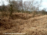 Salthouse Heath