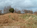 Salthouse Heath