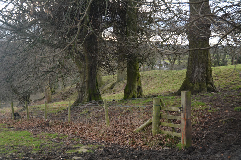 Scots Dyke (Easby)