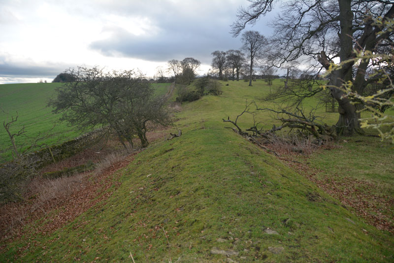 Scots Dyke (Olliver)