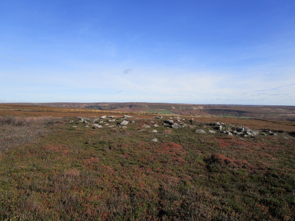 Three contiguous barrows at SE 60756 96814 which at first glance looks like a long cairn viewed looking east towards Bransdale, October 2017 