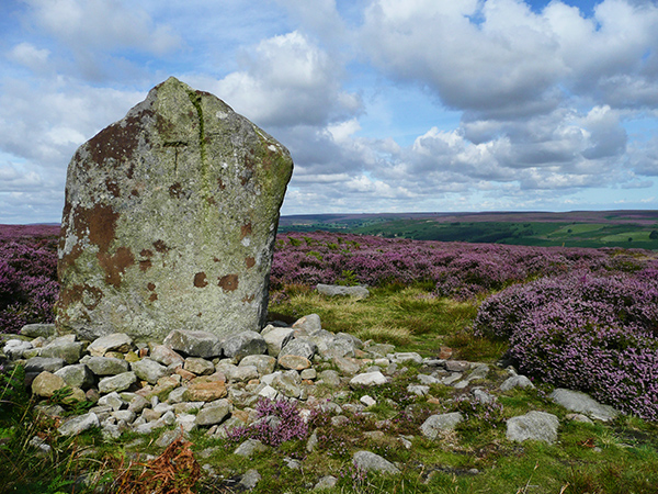 Standing stone on Ainthope Rigg, remnant of a former stone circle.

Copyright Wendy North and licensed for reuse under the Creative Commons Licence. 