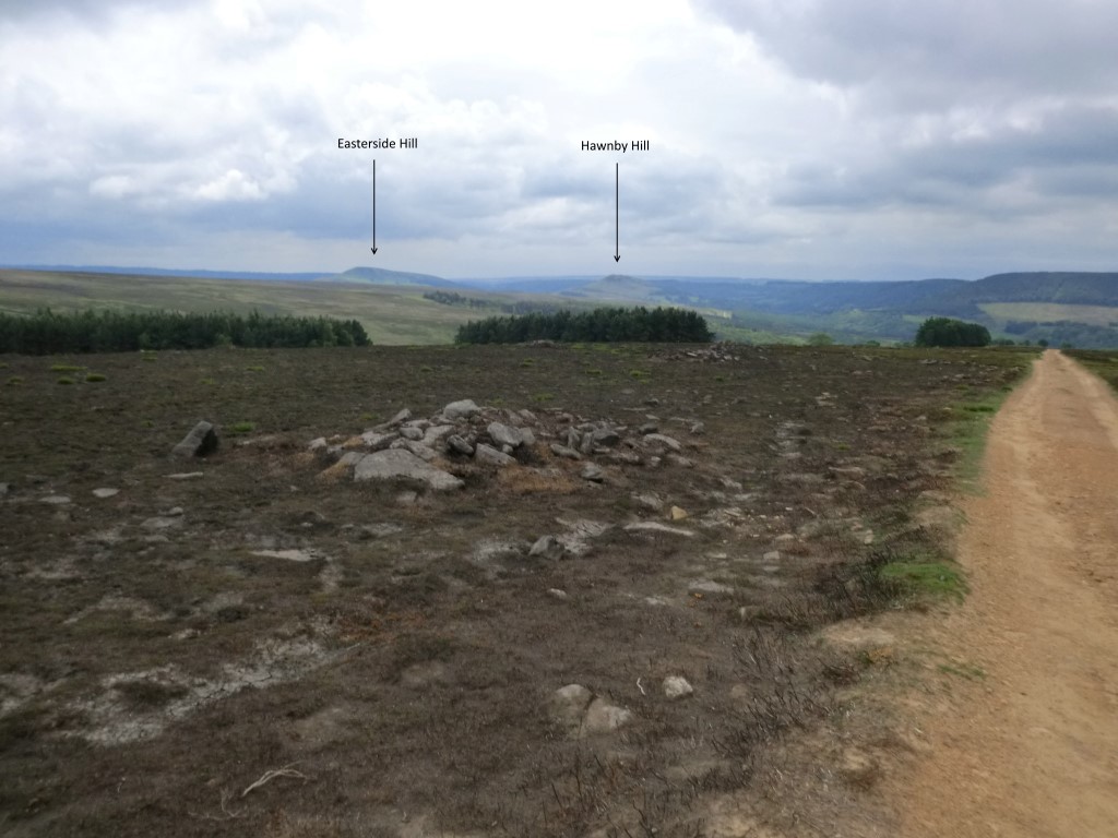Clearance Cairns at SE 52778 94766 – Viewed looking southerly June 2014