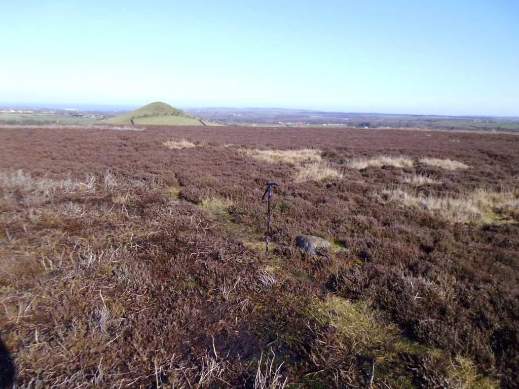 Cup Marked Rock on Moorsholm Moor  at NZ 68619 11919 – This view taken March 2016 shows the position of the rock as regards Freebrough Hill