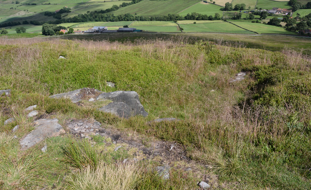 Danby Rigg Cross Dyke (Crossley Side)