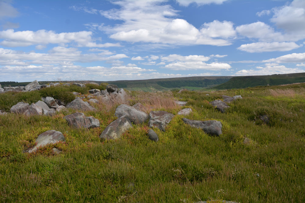 Danby Rigg (Crossley Gate)