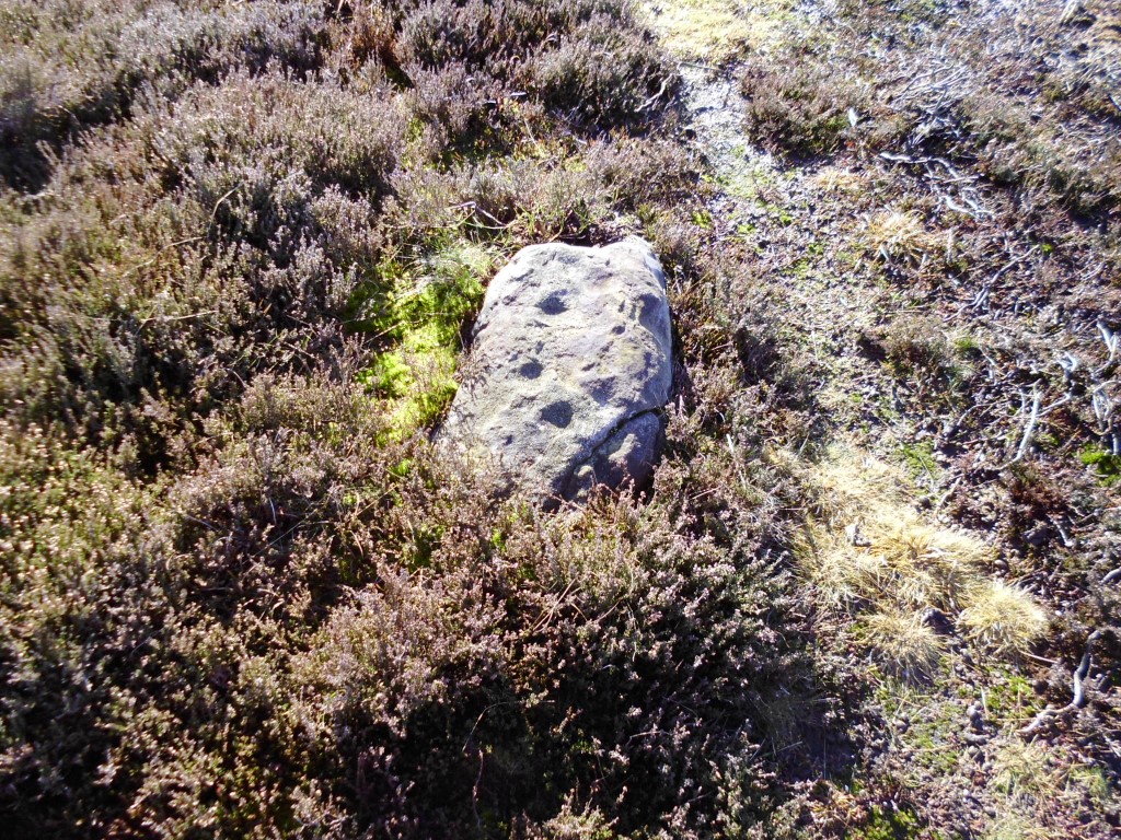 Cup Marked Rock on Moorsholm Moor  at NZ 68619 11919 – March 2016