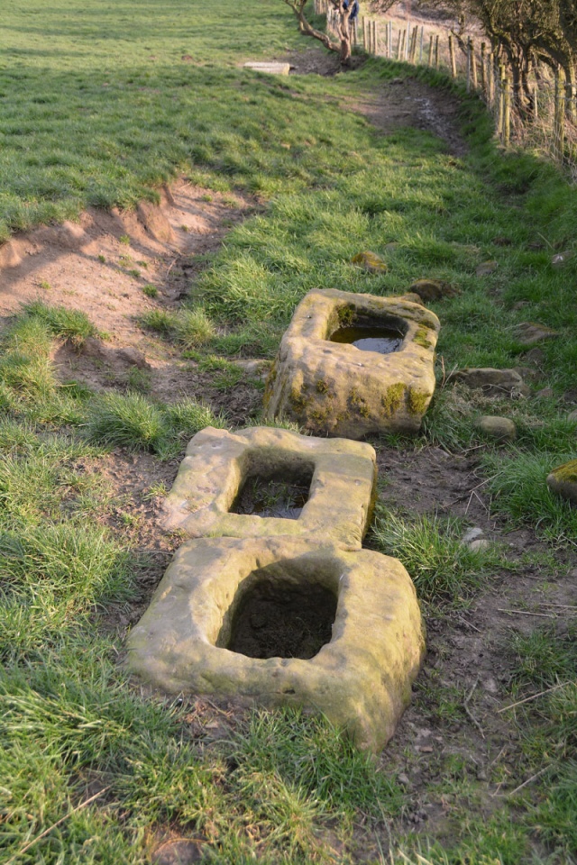 Three Crosses Well (Boulby)