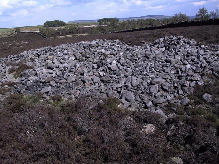 Black Hill Round Cairn