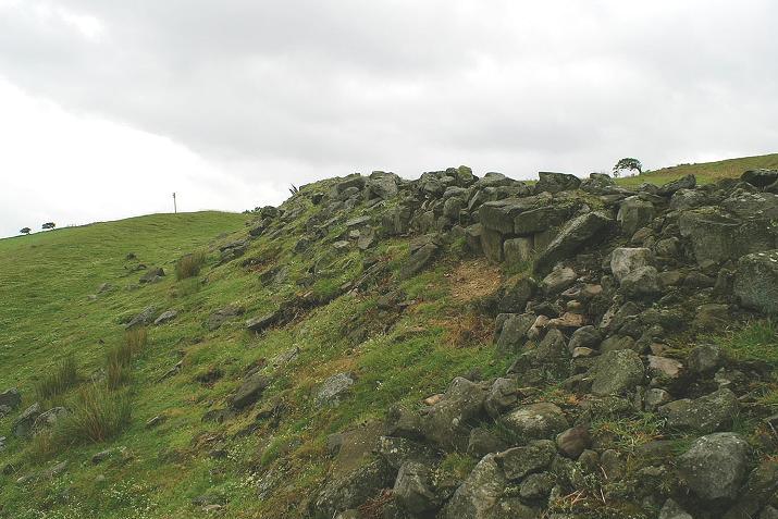 Castle Steads