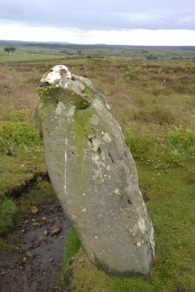 Someone kindly left a sheep’s skull for us!
Photo 2011