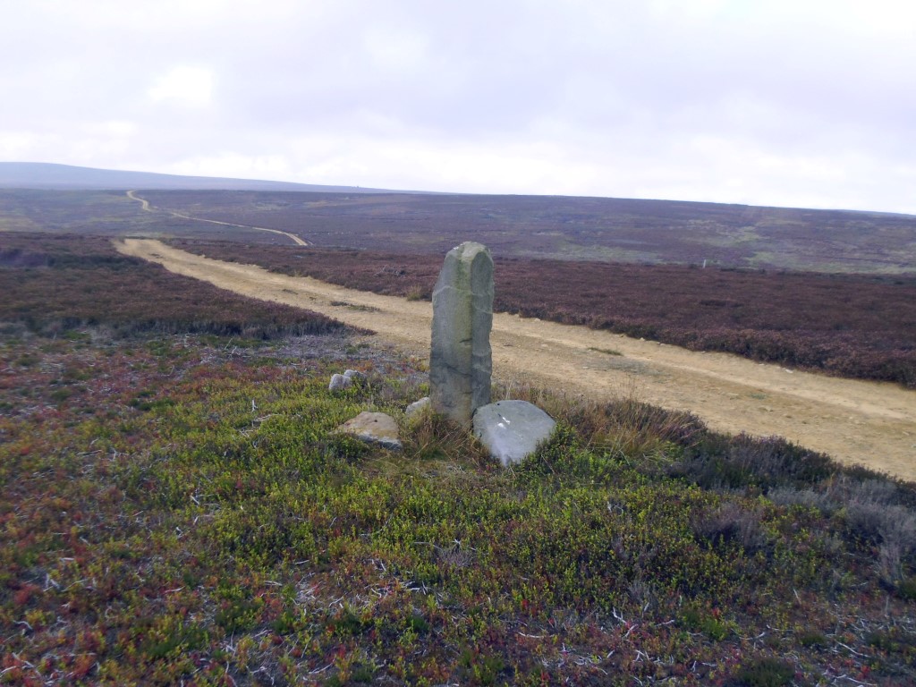 Stone 4 at SE 52072 98051 – Viewed looking westerly, September 2015.