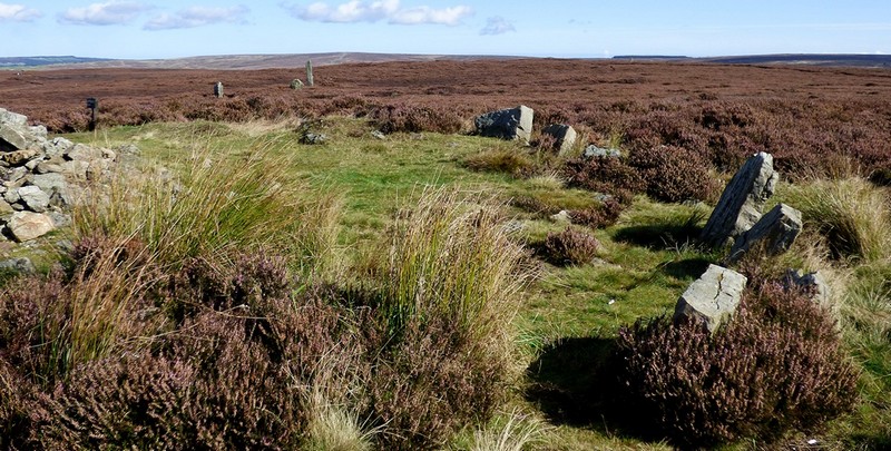 Kerbed cairn in the foreground and stone row beyond.