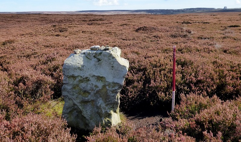 Stone 1. View from west (Scale 1m). Measures 0.64m long, 0.33m wide and 0.91m high. Orientated 5°.
