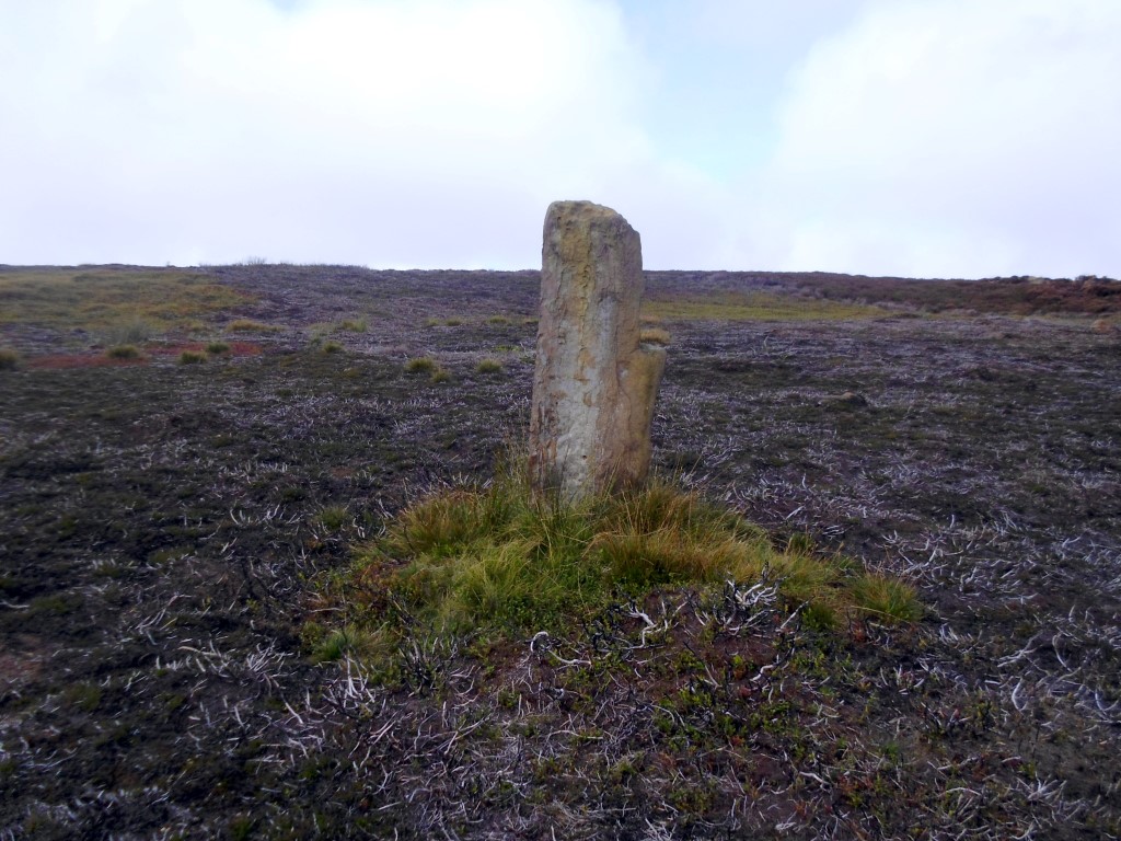 Stone 2 at SE 51493 97865 – The Chair Stone, Southerly face, September 2015.