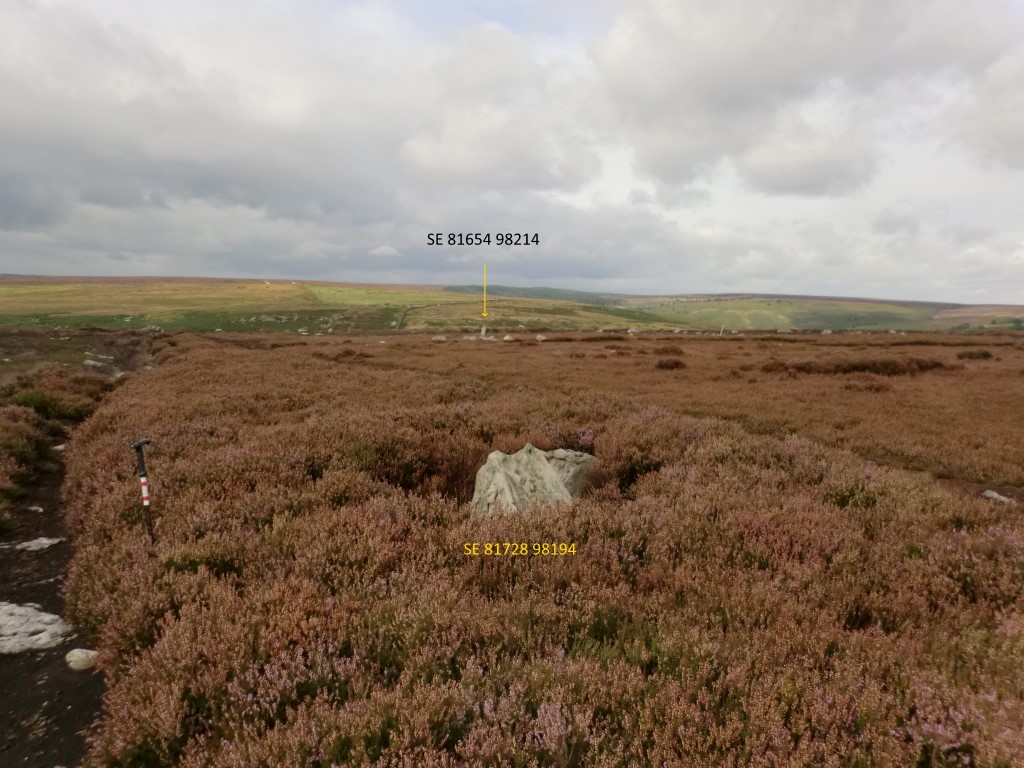 This is a photo (September 2019) which shows the area where the stone circle is purported to be. The stones (there are two here) at SE 81728 98194 in front of the camera are the same two stones in front of the camera in Kelpies submitted image PID 967 but viewed from a different angle. In Kelpies image these two stones plus two others to the right of the camera but not shown in the above image mak