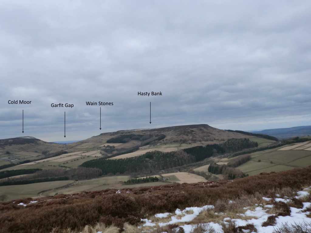 The Wain Stones – This long distance shot taken from Urra Moor looking northerly in April 2013 shows the landscape setting they are within.