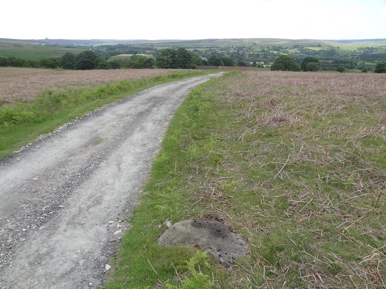 Allan Tofts 9 in its landscape context - view to the south (photo taken on June 2014).