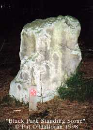 SE 75335 90938
A short standing stone hidden among a forestry plantation, there is some ditchwork nearby.