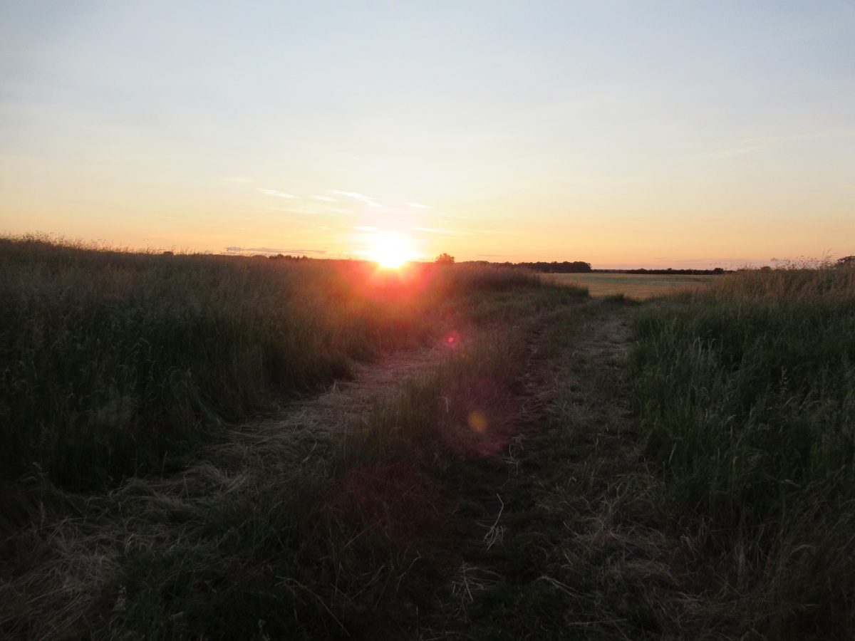 summer solstice sunset as the sun hits the top the south henge bank.  the fence posts in the henge have been removed but the bath will remain for the time being.  The site is now regularly monitored by English Heritage volunteers. 