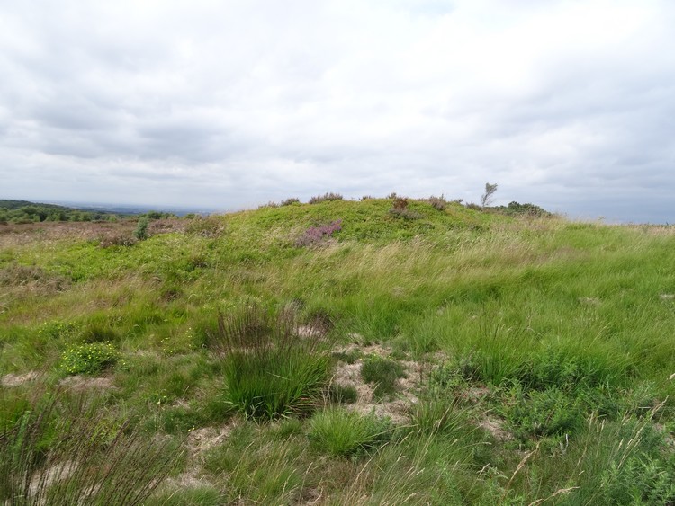 Eston Nab Bowl Barrows