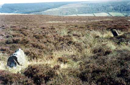 Hart Leap Stones