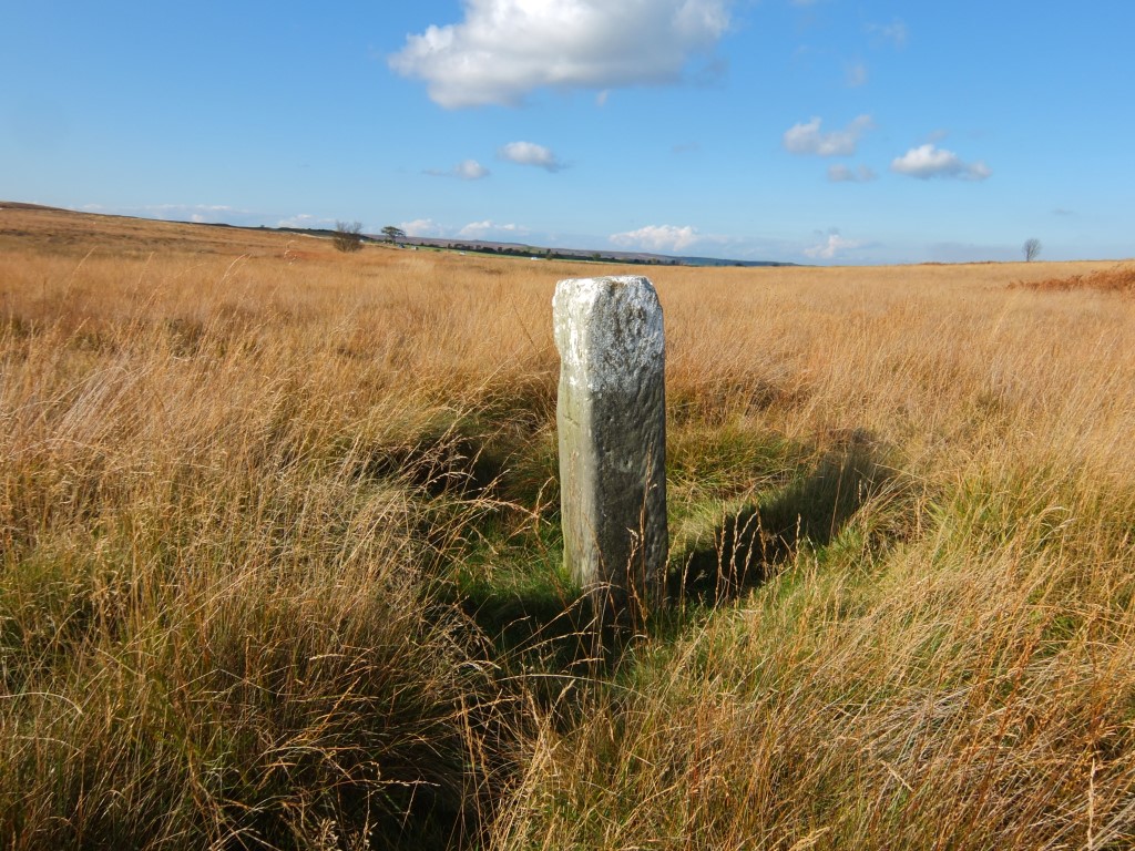 BS nearby at NZ 71718 11817 – East Face, October 2014. The fact that its top was at some stage painted white also indicates that it is also a Dawnay Estate boundary marker as well as being  a parish and urban authority marker. 