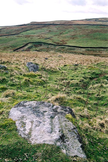Cup and groove marked rock, Skyreholme, near Pately Bridge.