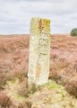 Blakey Ridge Guide Stone - PID:272881