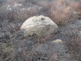 Snowdon Half Moon Stone - PID:233392