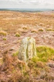 Lund Road Standing Stone - PID:272883