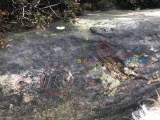 Stoupe Brow Rock Art - PID:218796