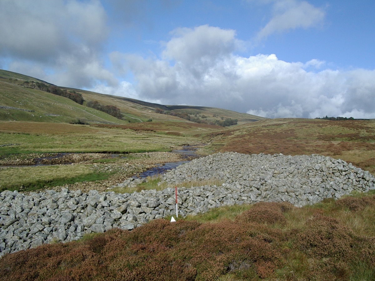Looking North over the southern flank towards Kingsdale Head