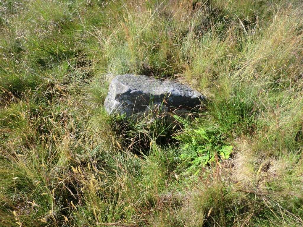 Old Beckwith Stone at NZ 72643 11470 – Close up view of the visible top part of the stone, July 2022. When erect the vertical face facing the camera would be the northerly face. 