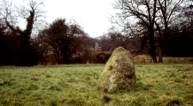 Grace Dieu Priory Stone - PID:21027