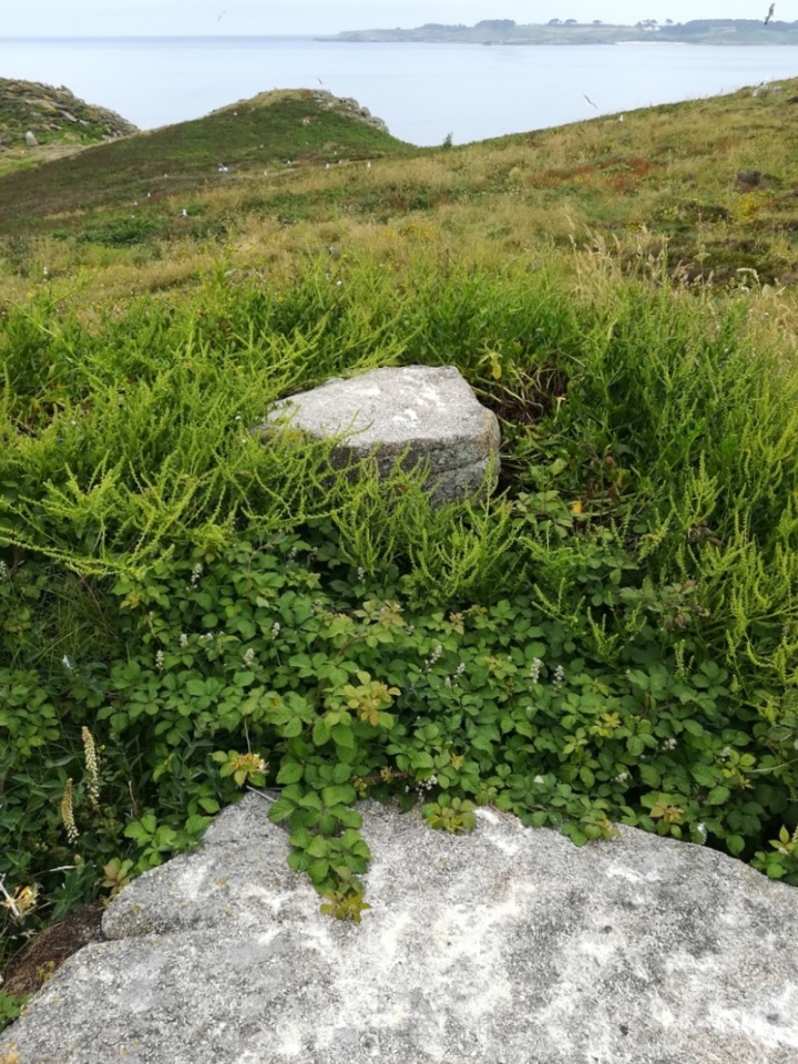 The main Chambered Cairn on Great Arthur - SW94201353