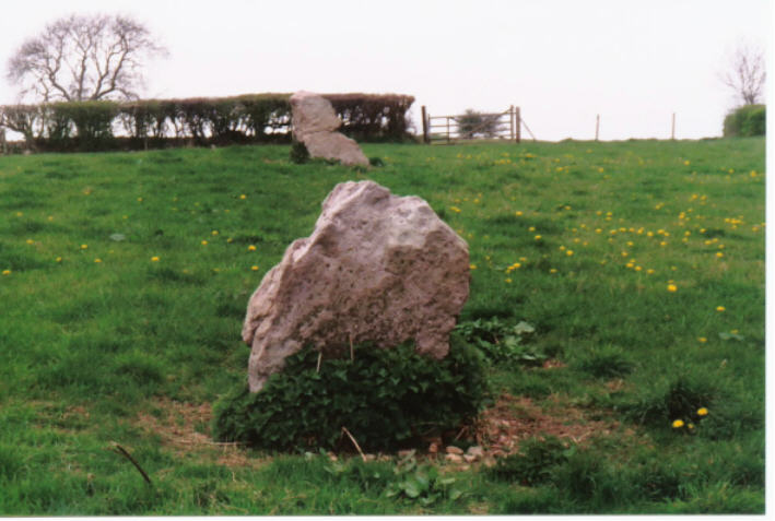 Go from Wells to Wookey Hole then follow the signs to Ebbor Gorge.Park in the gorge carpark and then follow the road for about 100mtrs and look in the field on the left.Here are two standing stones.The views on a clear day are magnificent,you can see for miles.