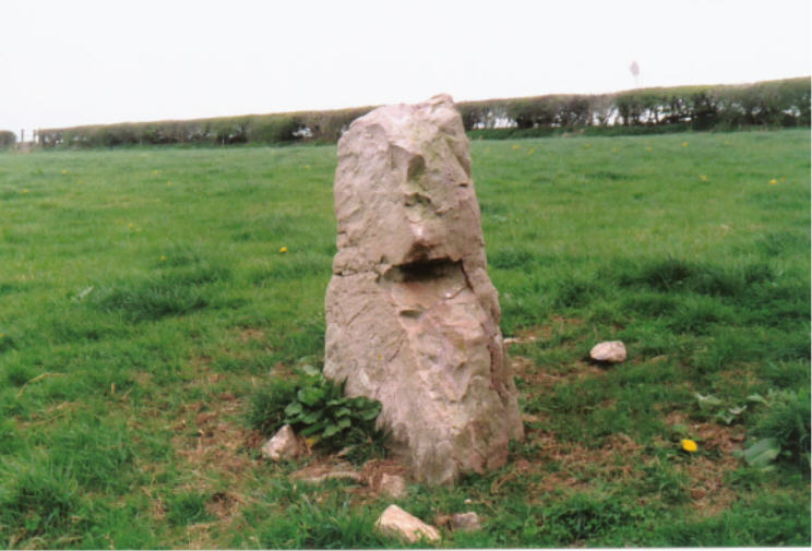 ST518486.Somerset Nr Ebbor Gorge.
This is the upper Stone.