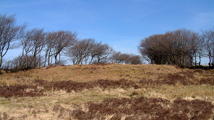 Alderman's Barrow