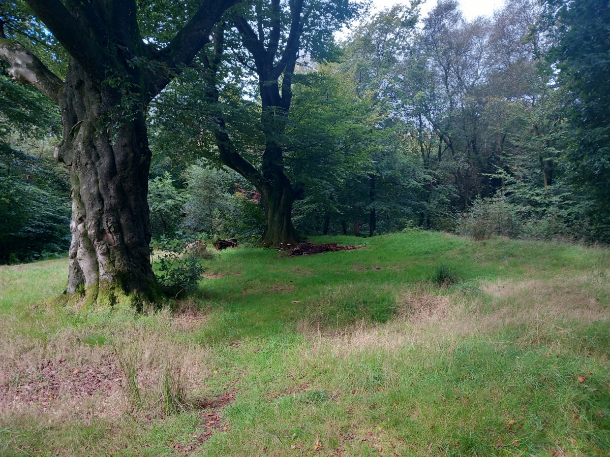 Beacon Hill (Oakhill) Barrows