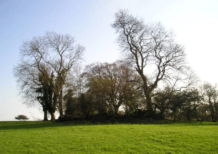 The overall view of the Fairy Toot seen from the North. Its largely destroyed, but the trees show the size and position of the original barrow.
