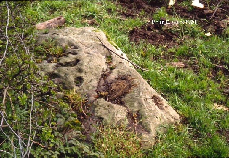 Hautville's Quoit