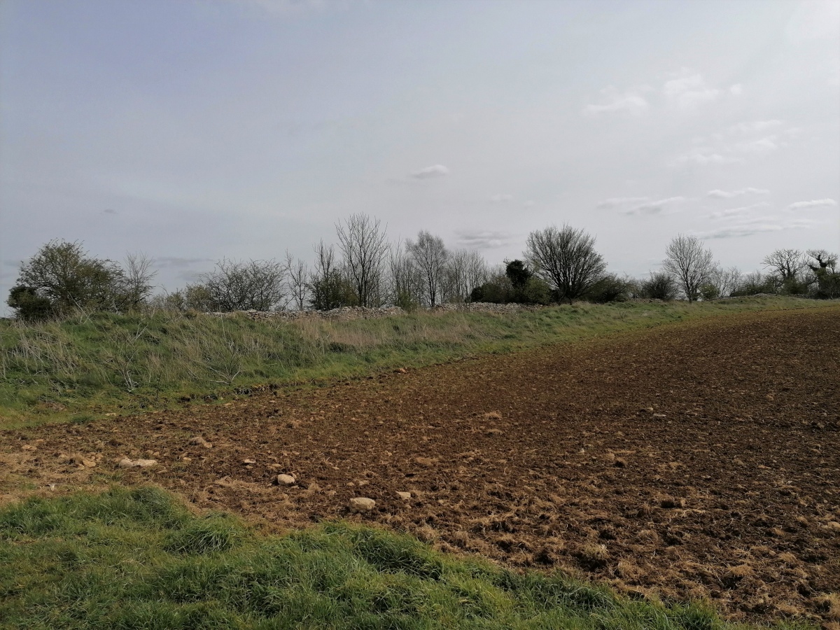 The inside of the eastern defences, looking south